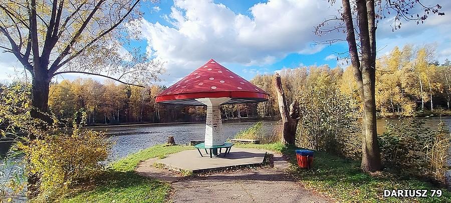Sosnowiec Kazimierz - Park Miejski Imienia Jacka Kuronia