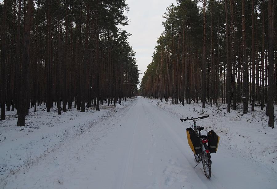 Zima w Puszczy