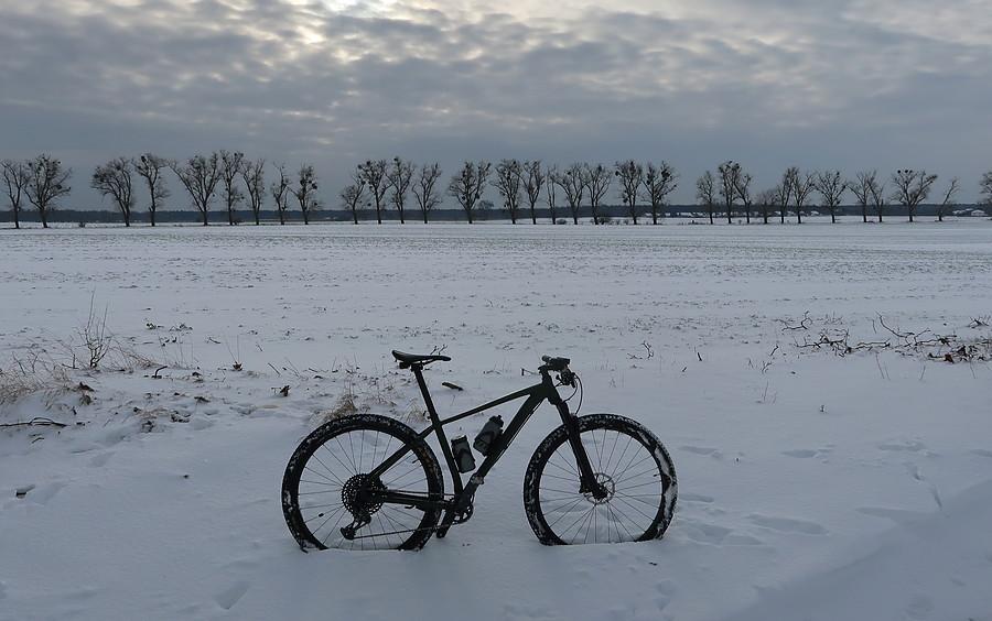 Taki tam śnieżny klimacik