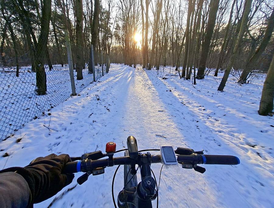 Przez śnieżny las