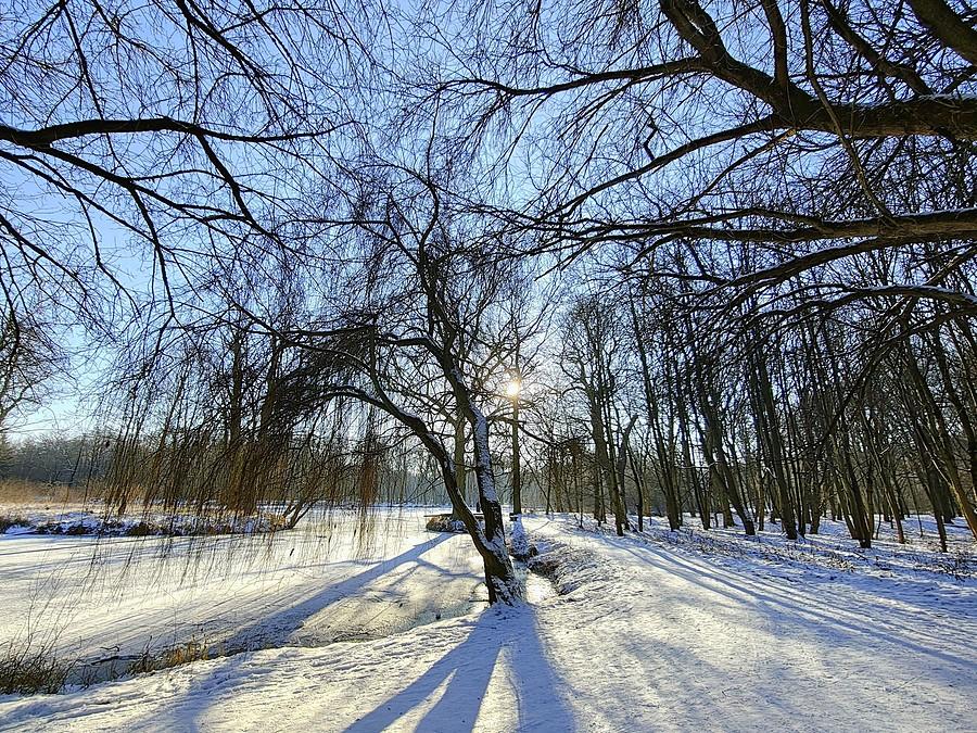 Słoneczna, zimna Dębina