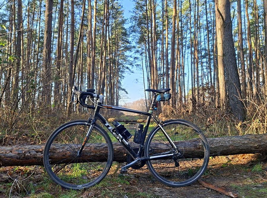 Znów na szosie, znów w lesie :)