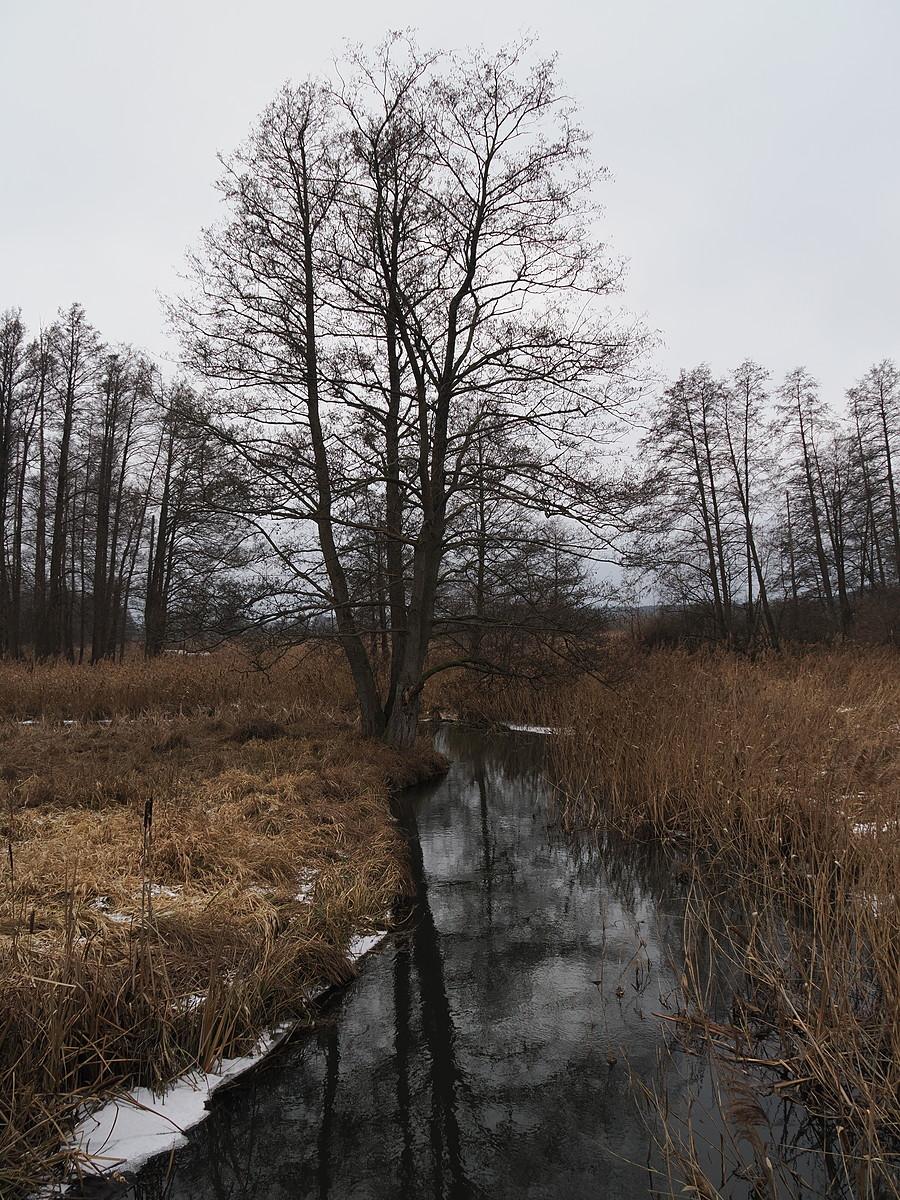 Ilanka tylko z lodem brzegowym