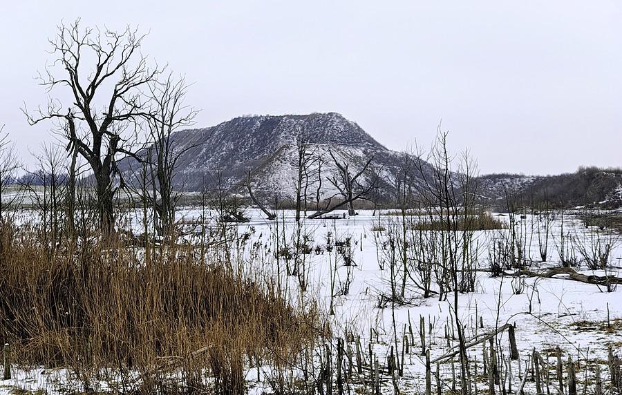 Widok z Żernik