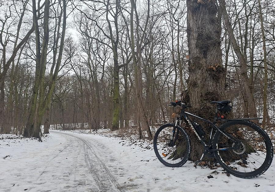 Czyszczenie roweru podczas przejazdu po śniegu :)