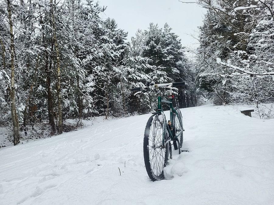 Treczynka na rowerostradzie