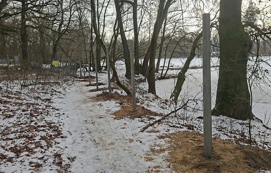 Masakrowana przez urzędników Dębina