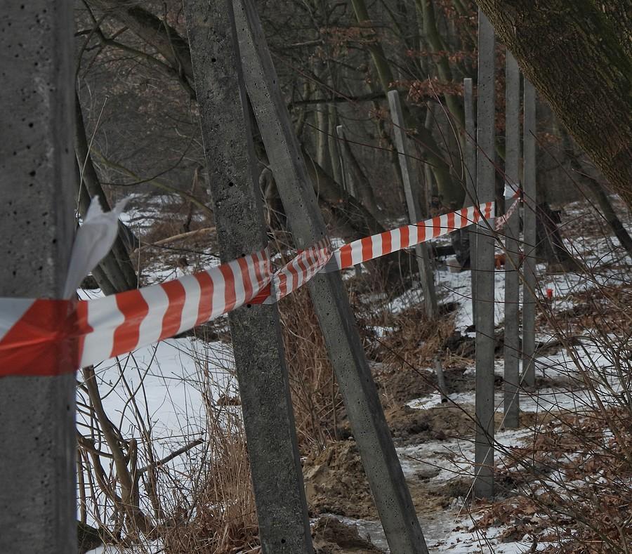 "Las" według urzędasów