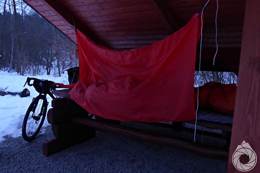 mroźny poranek pod lasem