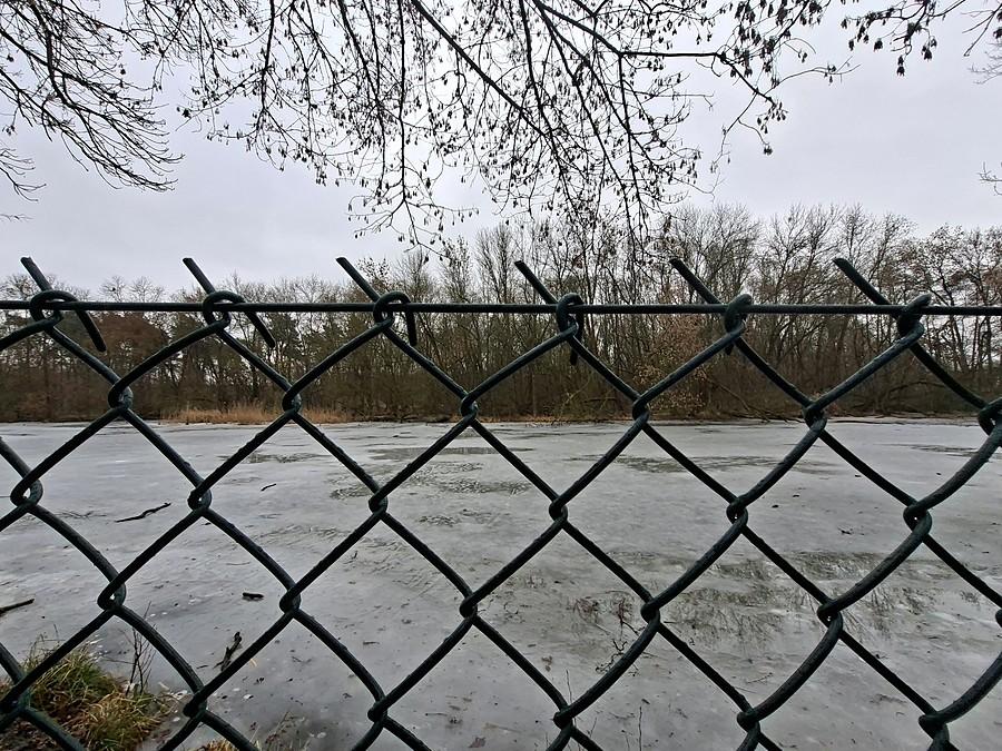 Wymarzona wersja lasu spółki Aquanet