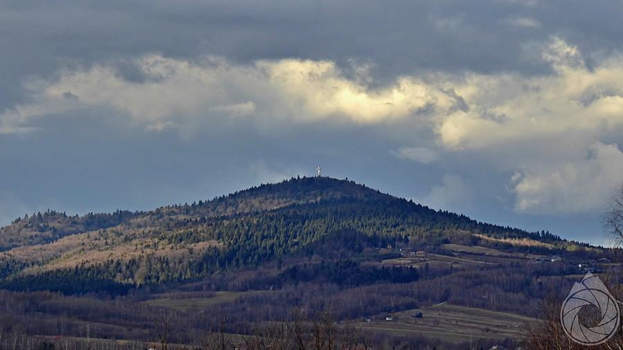 Lywocz w słońcu