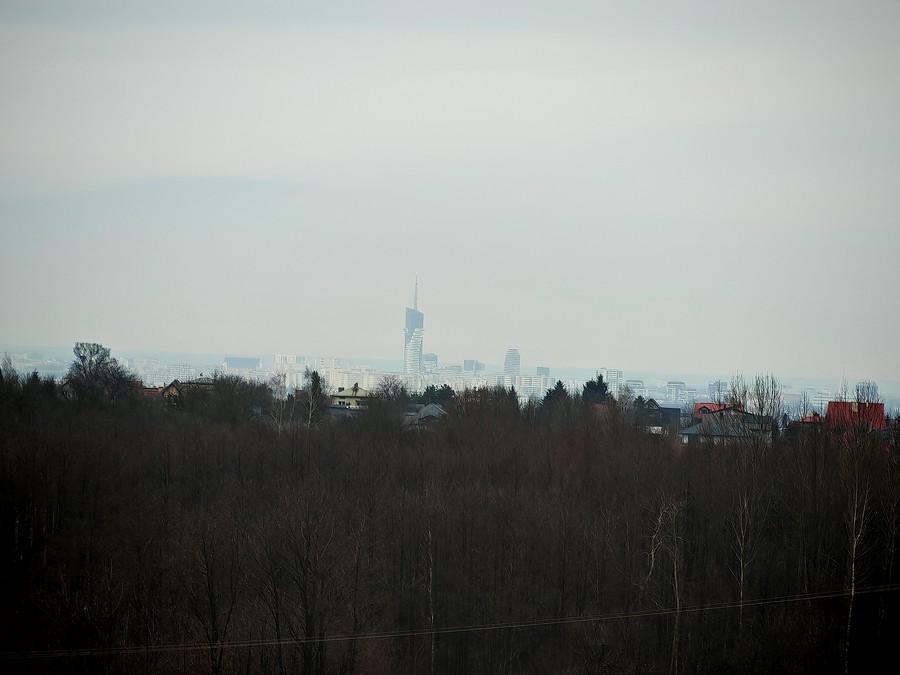 Rzeszów od południa.