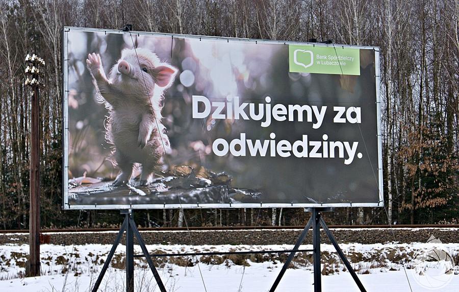 mutanty świnio-dzikowe żegnają uciekających z Lubaczowa