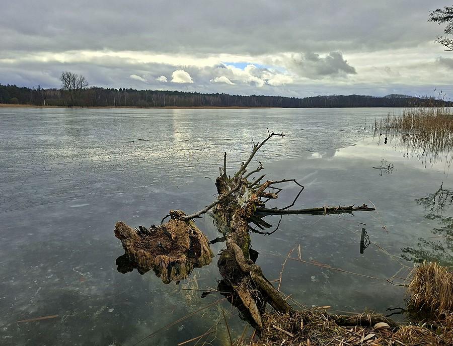 Landszaft znad Lusowskiego