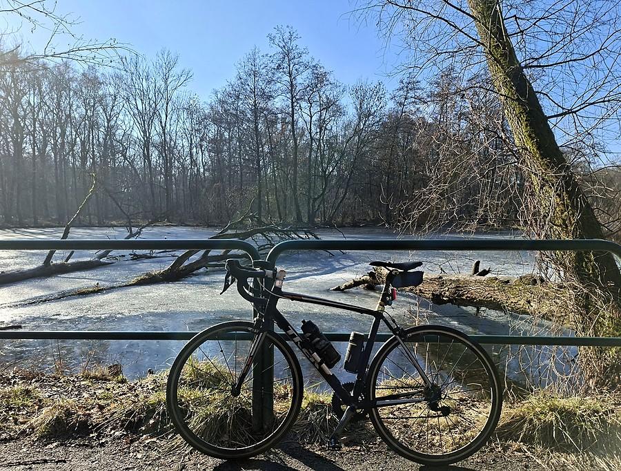 Jak zwykle na Dębinie
