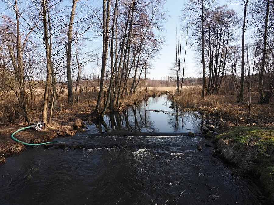 Ilanka za Starościnem