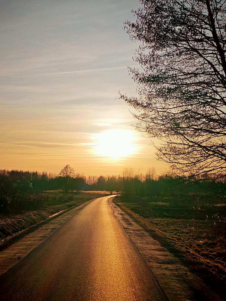 Na Green Velo w stronę domu.