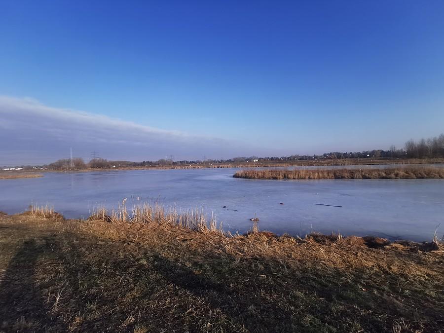 Staw w Michałowicach pod lodem