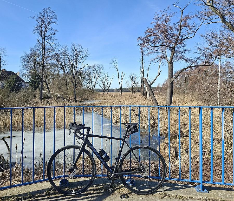 Rowerówka z Trzcielina