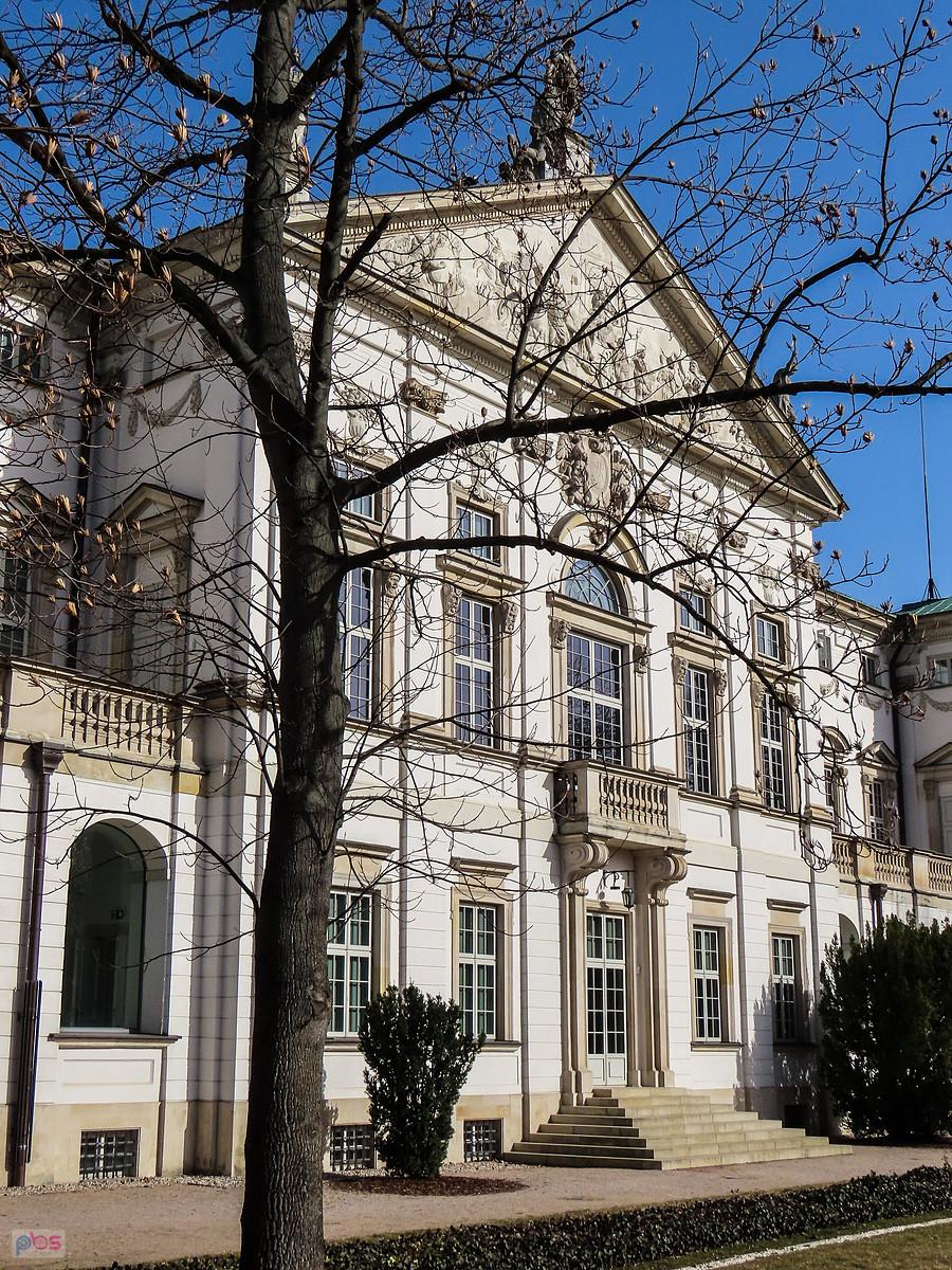 Tulipanowiec przed Pałacem Rzeczypospolitej