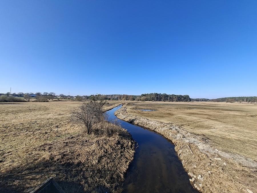 Łąki nad Głuszynką