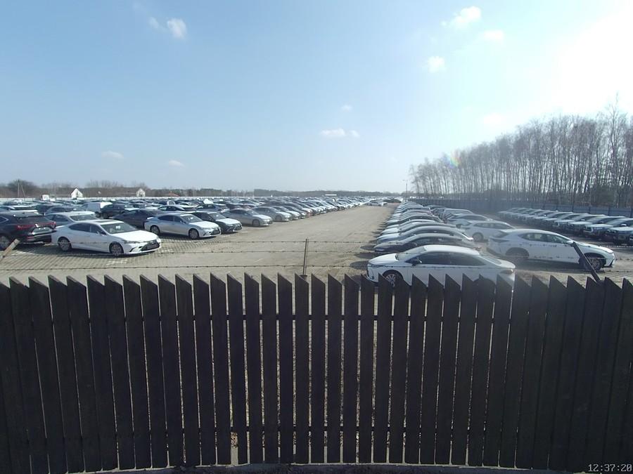 Skład celny
