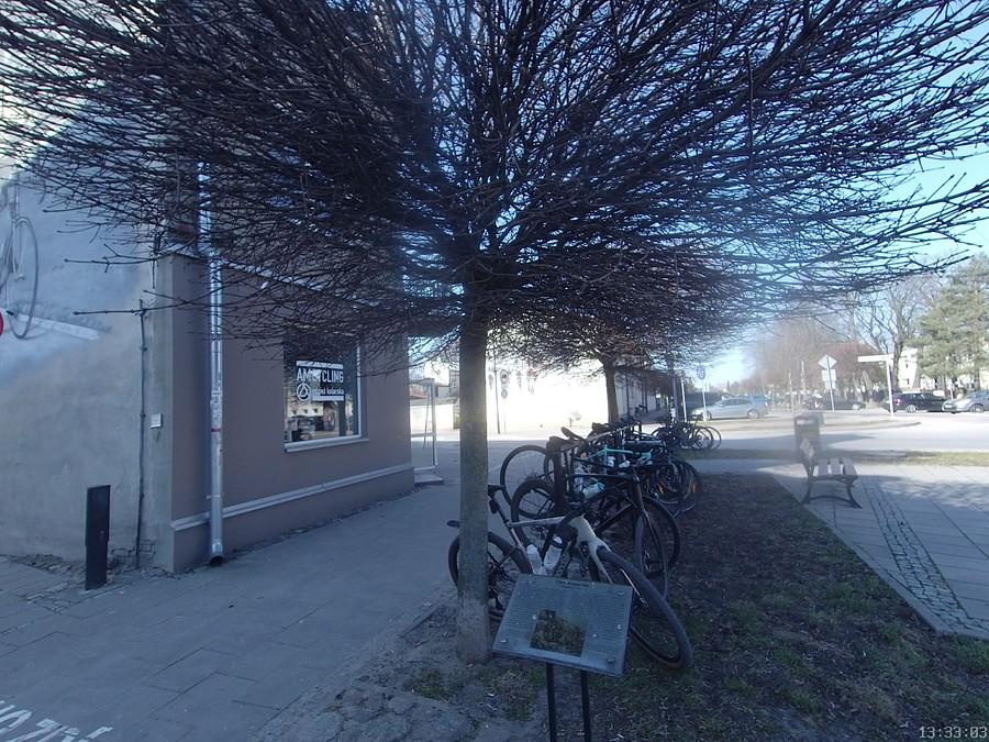 AM Cycling odzież kolarska