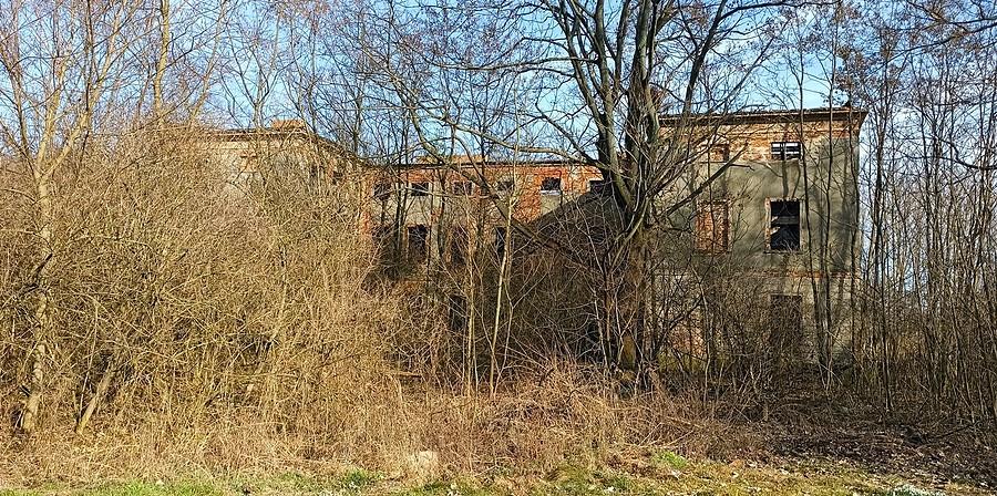 Zniszczony pałac w Droglowicach