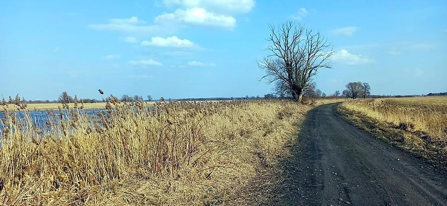 Przez Przemkowski Park Krajobrazowy
