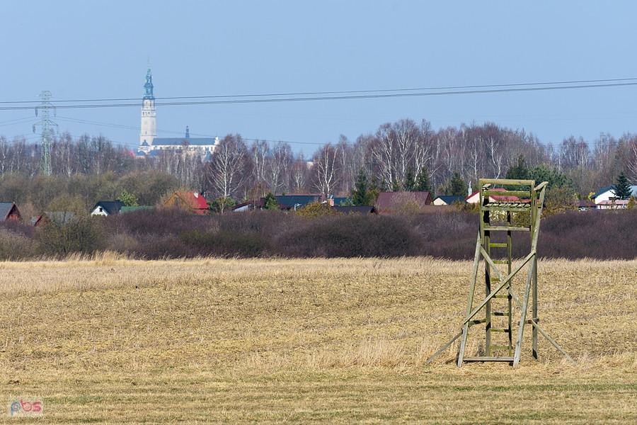 Częstochowa, dzielnica Błeszno - widok w stronę Jasnej Góry.
