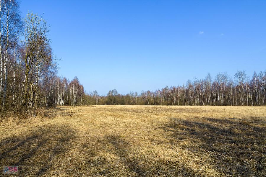 Sobuczyna
