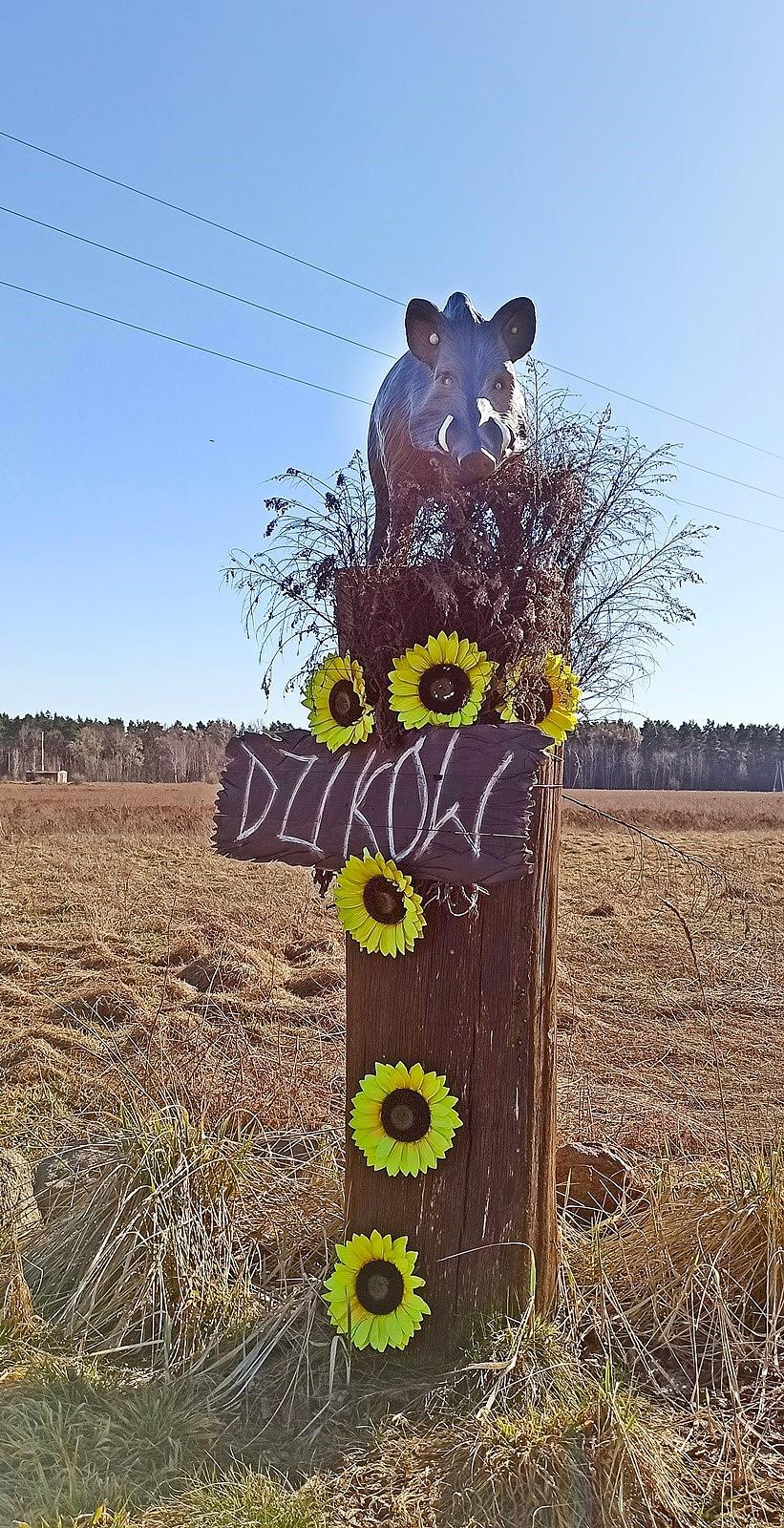 Symbol Dzikowa I