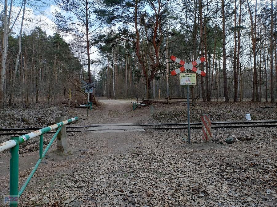 Otwarty przejazd przez tor w lesie