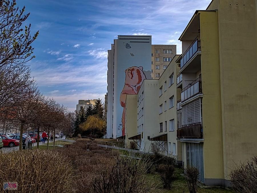 Mural z misiem na Natolinie