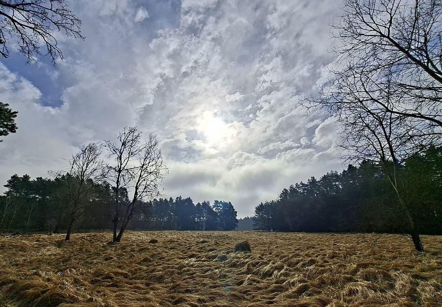 Rogaliński Park Krajobrazowy