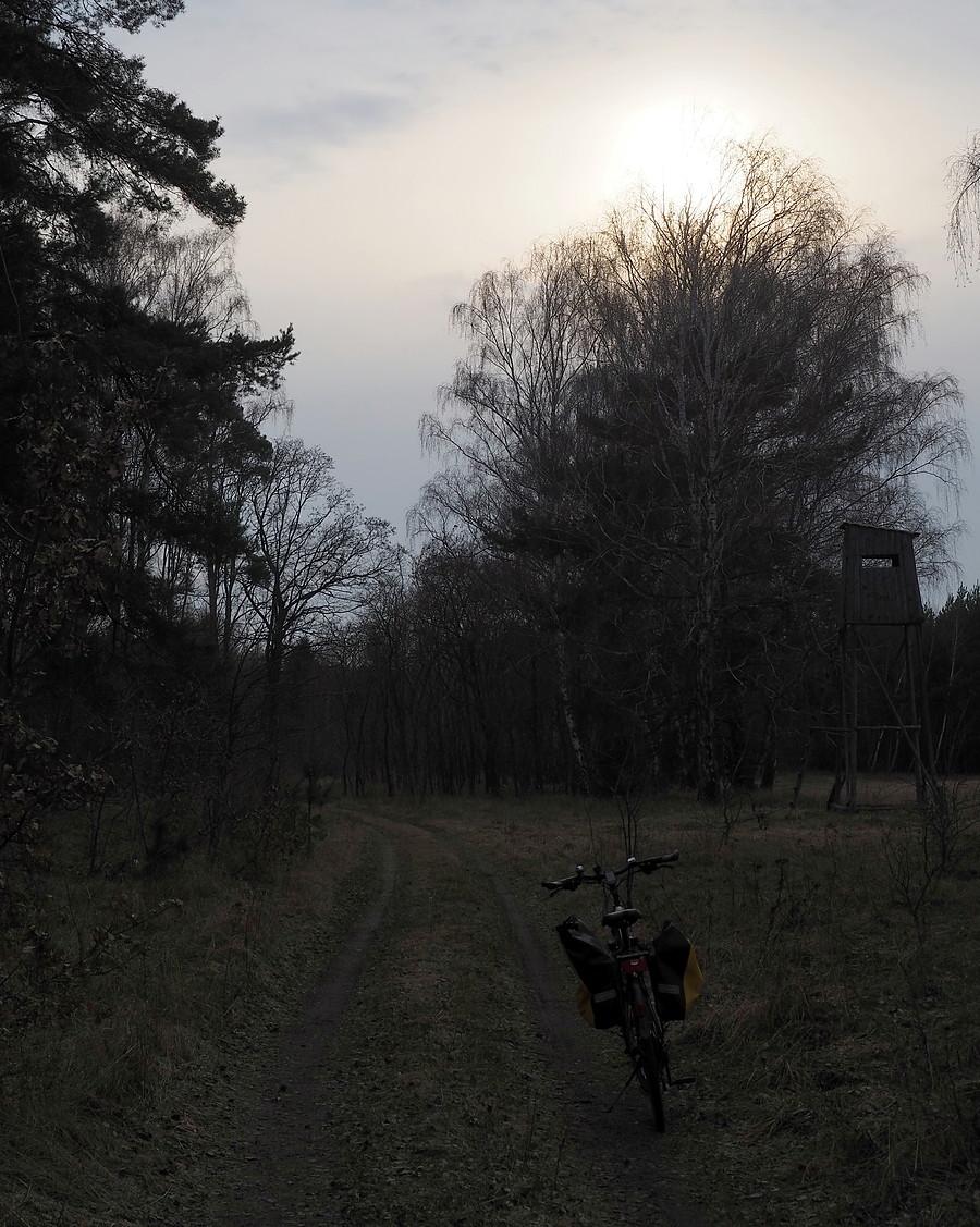 Słońce za poświatą