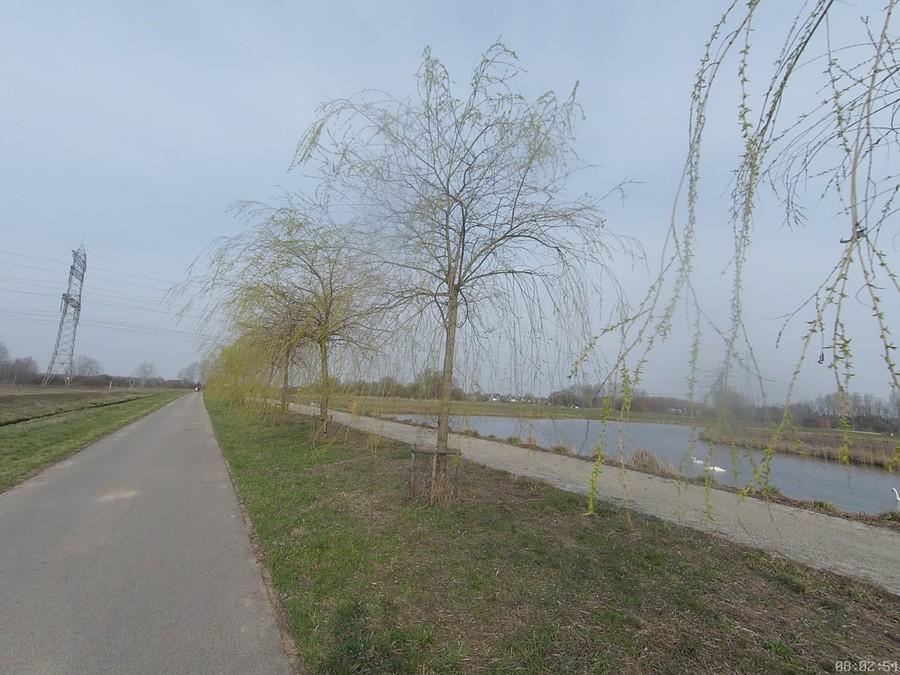 Michałowice