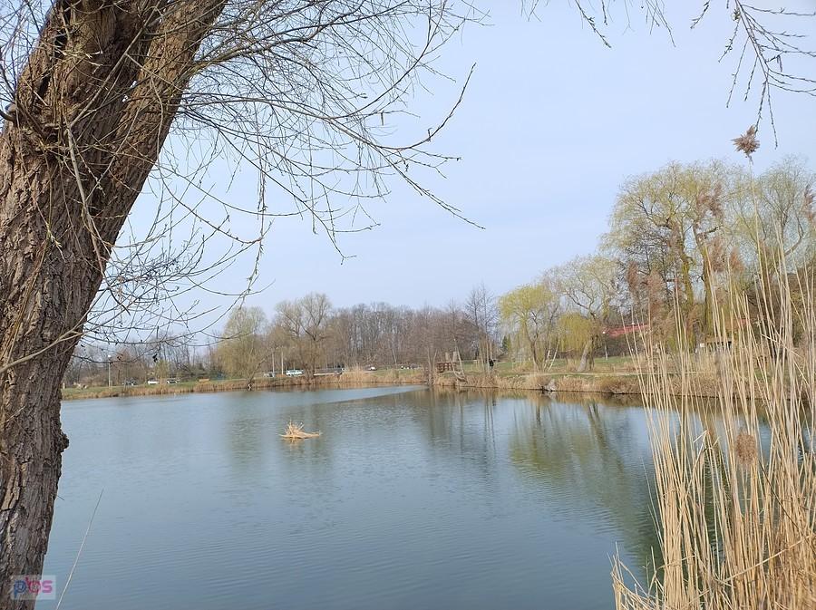Staw w Zielonkach