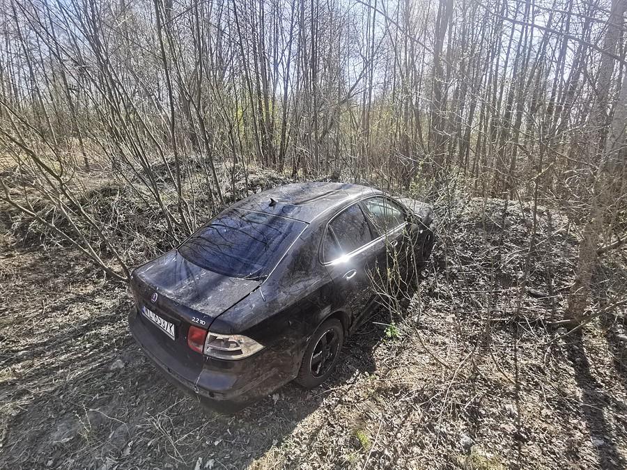 Saab w lesie
