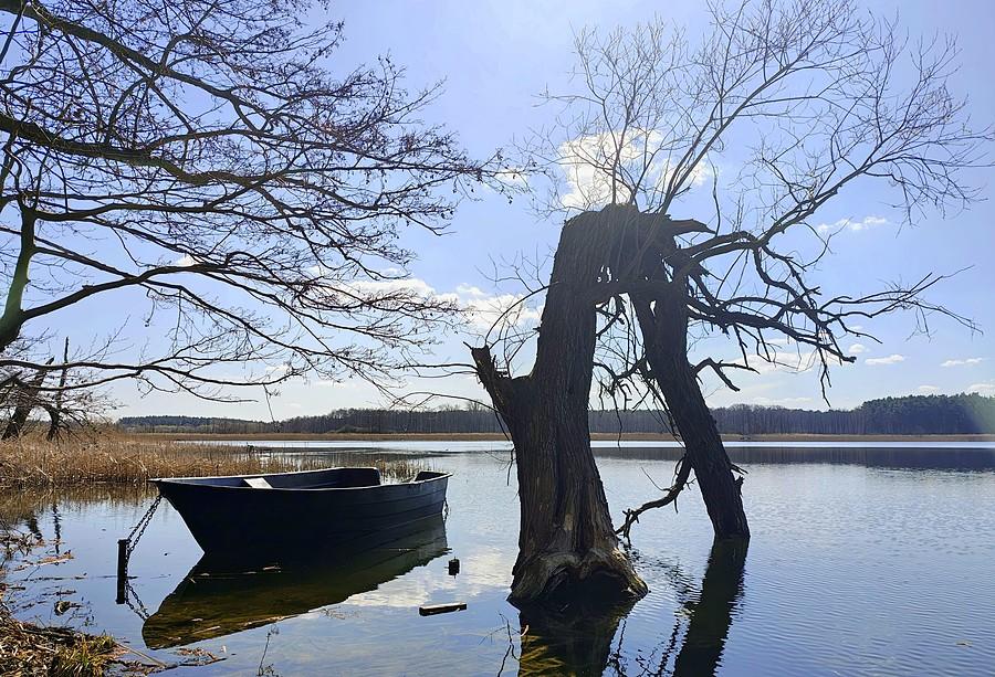 Kultowy widok z Lusowa