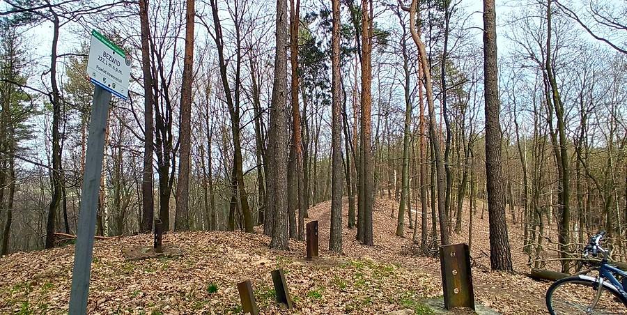 Wzgórza Dalkowskie
