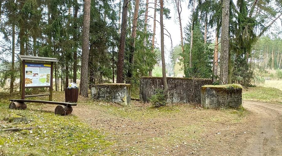 Wysadzona zapora przeciwczołgowa w lesie w Leśnej Dolinie w pobliżu Głogowa
