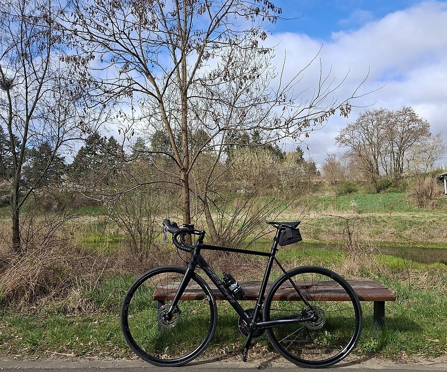 Przejaśnieniowa rowerówka