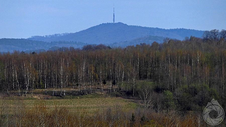 Sucha Góra góruje nad lasami nad Krosnem