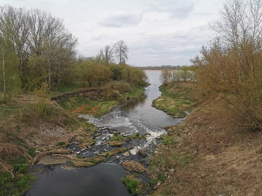 Ujście Jeziorki wygląda brzydko