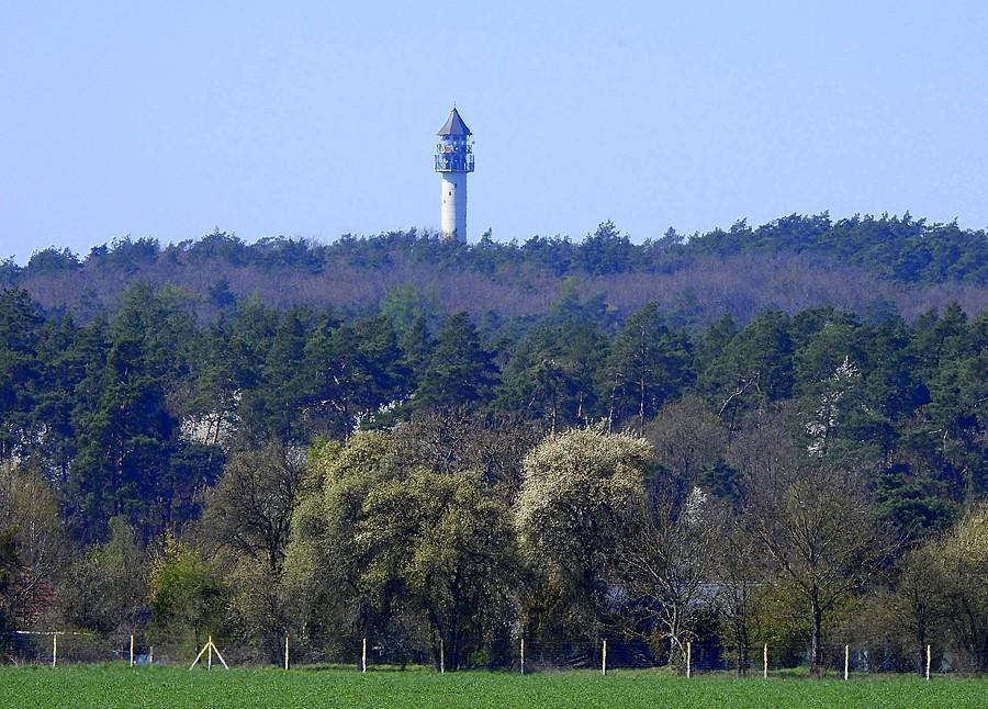 Dziewicza Góra
