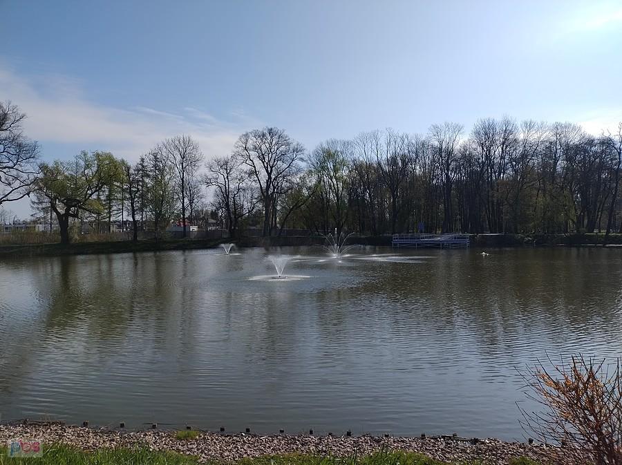 Staw w Ołtarzewie