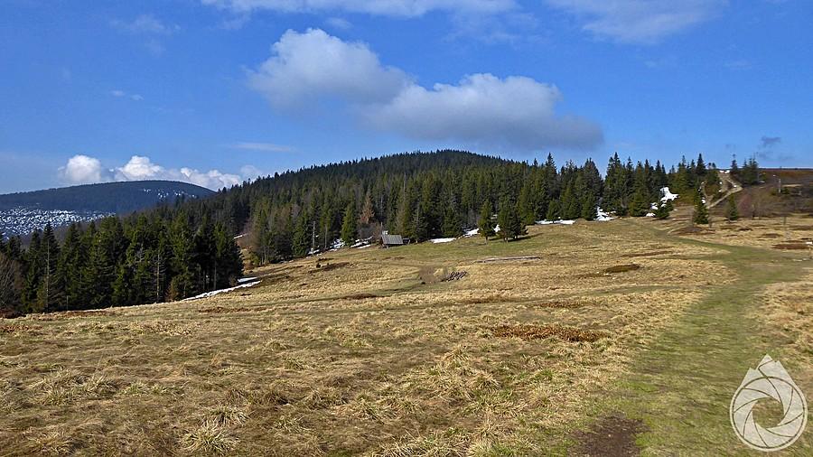 Hala Krupowa (a tak naprawdę Kucałowa)
