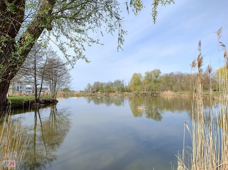 Staw w Zielonkach