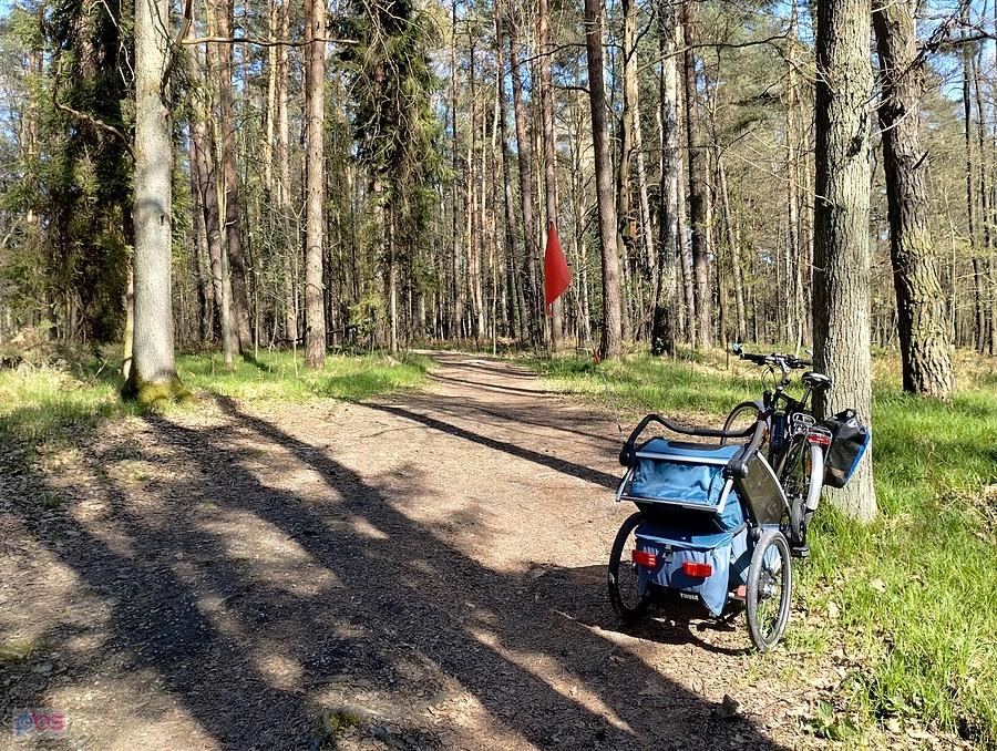 Źródełko Dynkmal